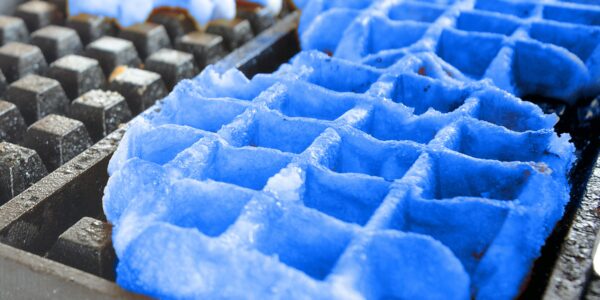 Pictures of Blue Waffle Disease